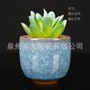 Cruz-fronteira atacado planta suculenta gelo crack vaso de cerâmica vaso interior vaso suculento pequeno vaso Amazon fornecimento direto 8 cores