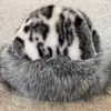 Sombrero de Felpa Transfronterizo para Mujer con Estampado de Leopardo, Sombrero de Gran Circunferencia de Cabeza, Sombrero Cálido para Orejas al Aire Libre de Otoño e Invierno, Sombrero Mongol a Prueba de Frío del Noreste