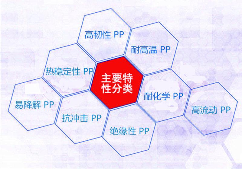 PP详情2