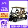 Carrito de Golf Eléctrico Multifuncional Personalizado Punto Turístico Campo de Golf Recepción de Hotel Coche Carrito de Golf Eléctrico