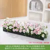 Flores Artificiales, Arreglos de Flores Falsas, Césped Artificial, Flores de Plástico, Plantas Verdes, Maceteros, Canaletas para Flores, Arreglos Florales, Flores de Seda, Separadores, Vallas, Plantas Verdes, Paisajismo