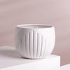 Precio de Fábrica Patrón Personalizado Flores Cerámicas Planta Verde Planta en Maceta Blanco Puro Patrón Vertical Oval Micro Paisaje Adornos para Plantas en Maceta