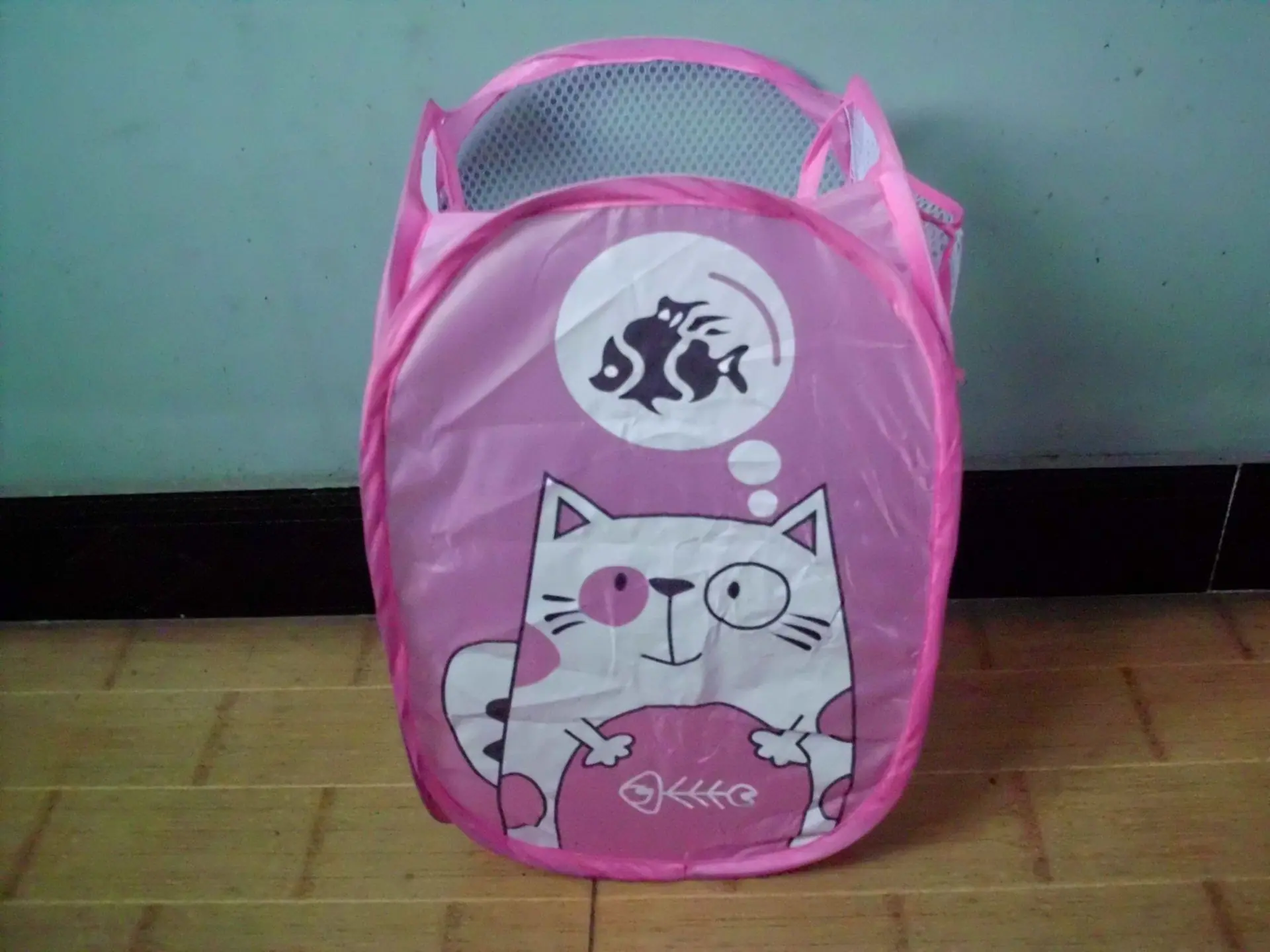 DSCI0181