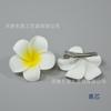 Clip Adhesivo de Flor de Huevo de 5 cm Accesorios para Fotografía de Playa Fabricación de Tocados para Actuaciones de Danza Infantil Caja de Flores con Flores
