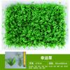 Planta de simulación de fábrica pared de encriptación plántulas de eucalipto planta verde material de pared de fondo decoración césped de Milán artificial