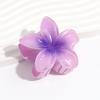 Accesorios para el Cabello Perlados de Venta Caliente Transfronteriza, Set de Pinzas para el Cabello de Plumeria, Pinza de Tiburón de Flor de Color Gelatina, Pasador