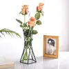 Soporte para Planta de Aire Soporte para Suculentas Base de Soporte para Planta de Aire Gancho para Planta en Maceta Decoración Jardinería Estante de 18 Colgadores