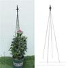 Horticultura Tartaruga da Montanha Clematis Rose Flower Rack Rack de escalada Planta Escalada Flor Endireitamento Pequeno Suporte Rod