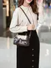 Bolso cruzado de un solo hombro moderno y elegante para mujer 2026 Modelo Nuevo Moda para ir al trabajo Retro Alta Gama Ligero Bolso de mano casual