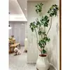Planta Verde Grande en una Maceta de Madera de Pata de Pato, Adecuada para Sala de Estar y Oficina, Fácil de Cuidar en Todas las Estaciones, También Adecuada para Dormitorio