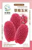 Fabricantes de origen venta al por mayor semillas de hortalizas, primavera, verano y otoño, cuatro estaciones, frutas, frutas, semillas, semillas, colza, semillas, semillas