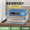Incubadora Inteligente Totalmente Automática Pequena Máquina Incubadora de Ovos Doméstica para Chocar Ovos de Codorna Ovos Pequenos de Galinha