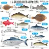 Simulação transfronteiriça modelo animal cognição oceânica peixe dourado piranha peixe-voador baiacu peixe-pedra peixe-borboleta brinquedo