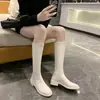 Botas Femininas de Cano Alto Tamanho Grande Outono e Inverno Bico Quadrado Zíper nas Costas Botas Femininas Exportação Aparência Afinando Versátil Salto Baixo Botas Femininas de Cano Médio