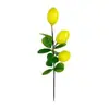 Frutas de trepadeira de limão enfeites pendentes amuletos enfeites de galho adereços para fotos adereços de cenografia fundo de moldura de janela porta decoração de primavera e verão