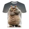 Fábrica de Origem Entra na Amazon Camiseta Divertida Y2 Masculina com Estampa de Gato Impressão 3D Casual Gola Redonda Manga Curta Camiseta Masculina