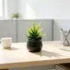 Decoración para el hogar, planta pequeña de aloe vera artificial, adecuada para escritorios de oficina, balcones, como planta verde en maceta, para fondos de fotografía y como adornos decorativos
