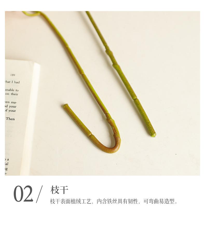烟雨5头蝴蝶兰_13.jpg