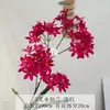 Flores Artificiales Frescas Estilo Coreano Orquídea Hada de 3 Puntas Exhibición de Ventana Decoración de Centro Comercial Flores Hechas a Mano Materiales para Arreglos Florales de Bodas