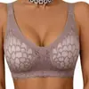 Comercio Exterior Transfronterizo Europeo y Americano Temu Shein Amazon Más Vendido Sujetador Push-Up Talla Grande Encaje Ropa Interior para Mujer