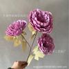 3 flores de peonía salón de bodas camino de entrada ramo de peonías red social disparo fondo suave accesorios