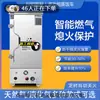 Máquina de Gabinete de Cocción al Vapor de Gas Licuado de Ahorro de Energía, Vaporera Comercial Totalmente Automática, Máquina de Cocción al Vapor de Gas Natural para Tamales y Arroz en Comedores