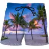 Pantalones de playa para hombre holgados casuales árbol de coco estilo hawaiano vacaciones estampado 3D fabricantes de shorts de natación venta al por mayor