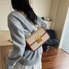 Bolso de Mano Pequeño Cuadrado Versátil de Nuevo Estilo para Mujer Verano 2025, Bolso de Hombro Cruzado de Nicho de Alta Gama de Moda