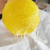 Bola Adhesiva Amarilla para Moscas de la Fruta, Base de Bola Trampa para Moscas Cítricas, Bola Atractiva para Insectos para Huertos y Jardines, Dispositivo Repelente y Atractivo para Insectos para Jardinería
