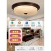 Nueva Lámpara de Techo China Lámpara de Pasillo Americana Puerta de Cristal Pasillo Dormitorio Balcón Exterior Inducción Exterior Lámpara de Jardín
