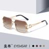 2025 Nuevas Gafas de Sol Retro Europeas y Americanas de Doble Puente con Caja Moda para Hombre Gafas de Sol con Cabeza de Leopardo Trendy para Mujer Venta al por Mayor Transfronteriza