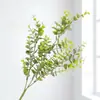 Simulación transfronteriza eucalipto de tallo largo hojas de eucalipto color crema blanco retro decoración de boda plantas verdes artificiales de simulación