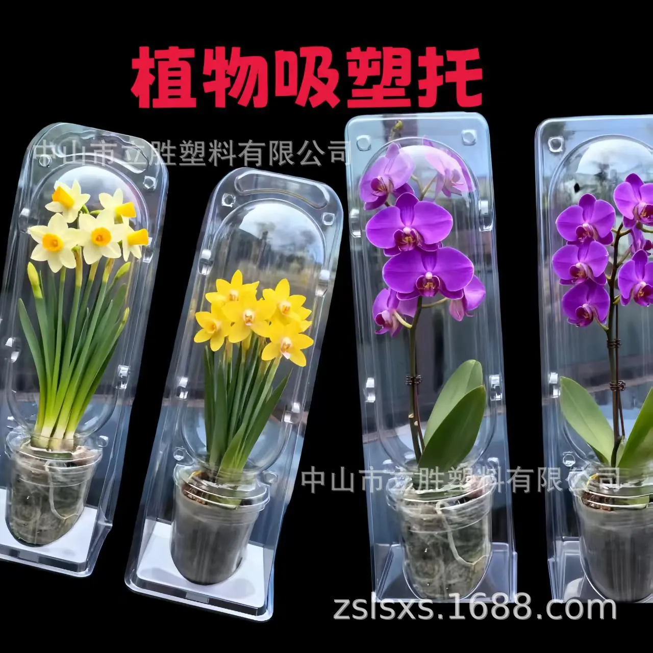 微信图片_20251030133226_639_2
