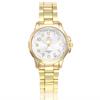 Deseo popular reloj casual de pulsera de acero aleado para mujer escala digital reloj de cuarzo para mujer entrega de una pieza