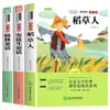 Boa Leitura: Conjunto Completo de Livros de Leitura Extracurricular para Alunos do Ensino Fundamental de 1º a 6º Ano, Incluindo Séries Iniciais e Finais, Literatura Infantil Essencial