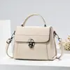 Bolso de mano moderno y a la moda para mujer 2026 nuevo modelo para mujer, bolso cuadrado pequeño para el trabajo, bolso de hombro cruzado de lujo ligero para mujer, transfronterizo