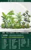 Paisagismo de Combinação de Plantas Verdes sob a Escada, Paisagem Tropical com Plantas Artificiais, Árvores Artificiais, Decorações de Plantas em Vasos para Interior