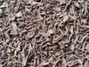 Rodajas de Huangqin Cultivado en Casa, Rodajas de Huangqin Seco Silvestre, Materiales Medicinales Chinos de Gansu, Venta al por Mayor a Granel Sin Azufre, Nuevos Productos de Gansu