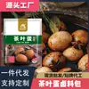 [Cinco Especias] Paquete de Marinada para Huevos Cocidos, Paquete de Condimento para Huevos Estofados, Uso Comercial y Doméstico, Soporta Dropshipping y Venta al por Mayor