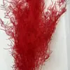 Samambaia Aspargo Flores Preservadas, Flores Secas, Arranjos Florais Decorativos, Arranjos Lineares Suspensos, Combinado com Balões Flutuantes Zen de Ano Novo Estilo Chinês