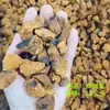 [Bainahe] Fabricante Entrega Grânulos de Chaga Chaga Grânulos de Chaga