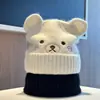Gorro de punto de dibujos animados para mujer, lindo y dulce, gorro versátil para otoño e invierno, cálido, protector de orejas, favorecedor del rostro, sombrero de lana para clima frío