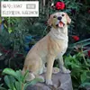 En Stock Labrador Modelo Perro Grande Exhibición Ventana Adorno Perro Arnés Mascota Ropa Accesorios Fotografía Modelo Perro