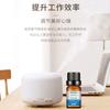 Aceite Esencial de Planta de Aromaterapia Soluble en Agua Perfumeoil Perfume Aceite Esencial de Aromaterapia Fragancia de Larga Duración Aceite Esencial de Aromaterapia Fresco