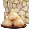 Alho Laba de Shandong, Legumes em Conserva Autênticos, Alho Açucarado, Alho Agridoce, Dentes de Alho em Conserva, Alho Verde em Conserva, Dentes de Alho em Conserva