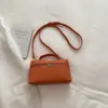 Bolso Minimalista de Nicho para Mujer 2025 Nuevo Invierno Estilo Coreano Moderno Versátil Bolso Cruzado Bolso de Hombro para Viajar