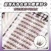 Série Raposa Ranxing Cílios Postiços Sem Cola Sailor Moon Segmentados Naturais Longos Cor Caramelo Pura Desejo Cílios Postiços