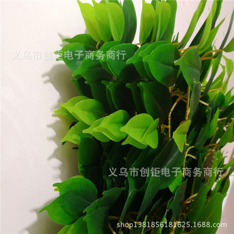 QQ图片20180113091007.jpg