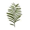 Hojas secas repujadas de Metasequoia flores secas venta al por mayor transfronteriza DIY pegamento de gota funda para teléfono móvil marco de fotos hecho a mano marcapáginas pegatinas de hojas