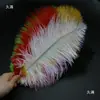 30-35cm Plumas de Avestruz Lámpara de Plumas Arreglo Floral de Plumas de Avestruz Plumas de Boda